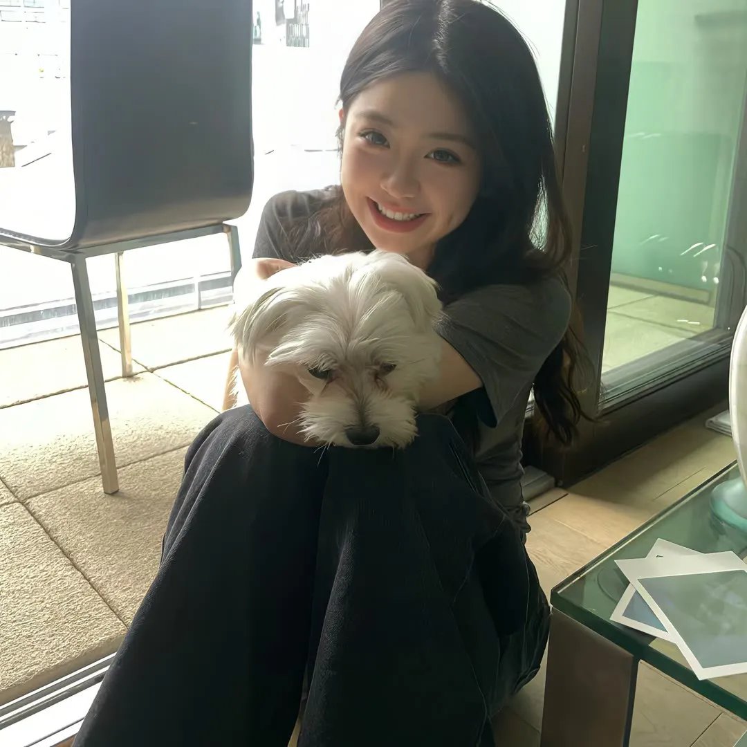 绽放的带刺玫瑰